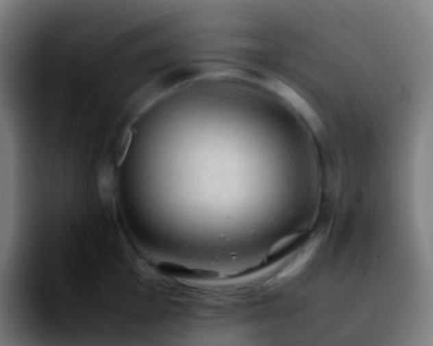 X0000092251001200709211058