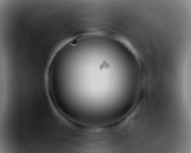 X0000092251003200709211058