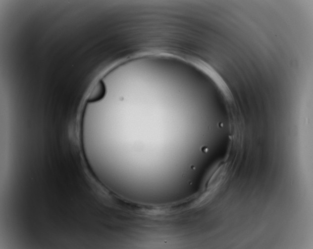 X0000092251004200709211058