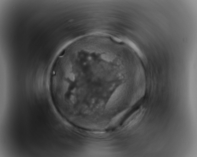 X0000092251007200709211058