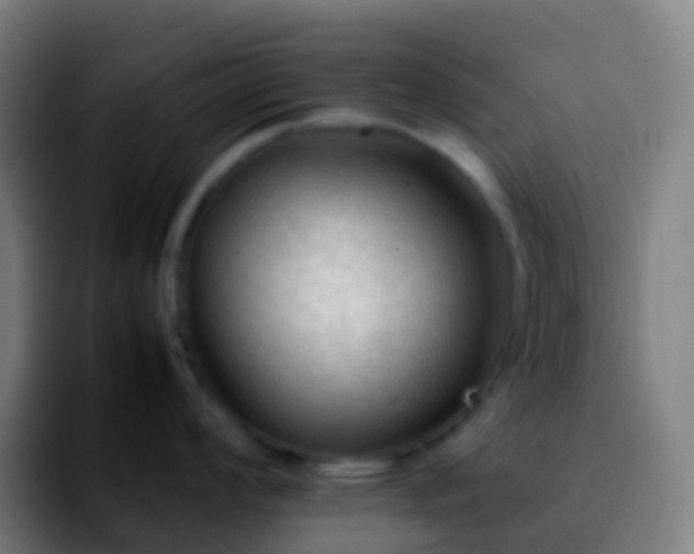 X0000092251008200709211058