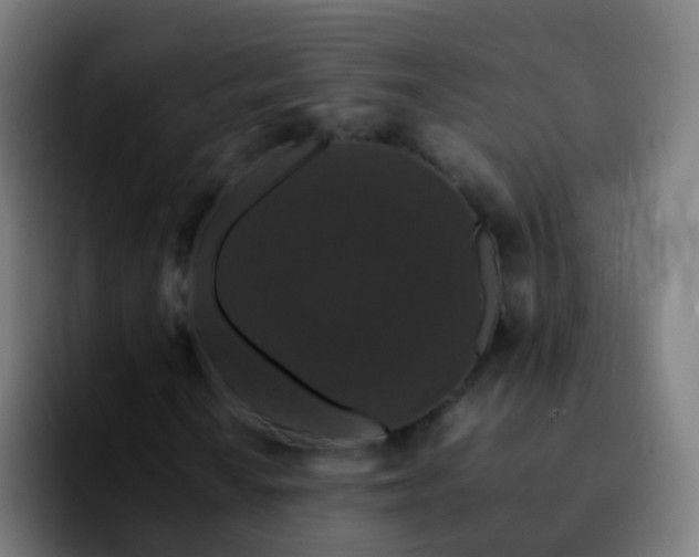 X0000092251010200709211057