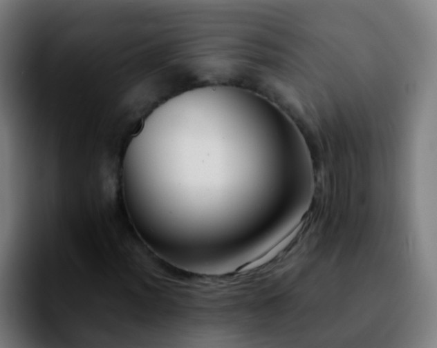 X0000092251012200709211057