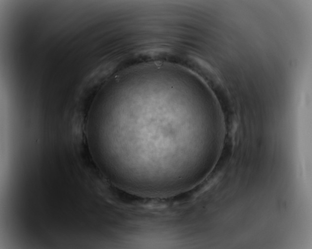 X0000092251014200709211057