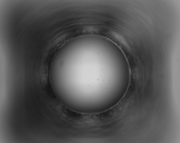 X0000092251015200709211057