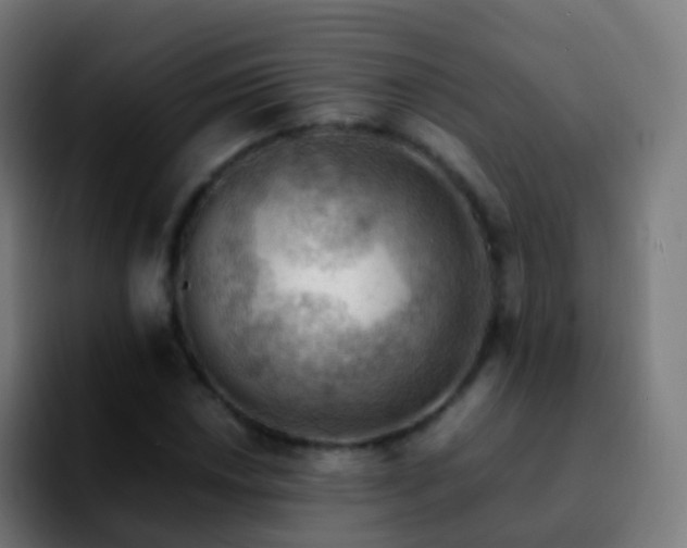 X0000092251018200709211057