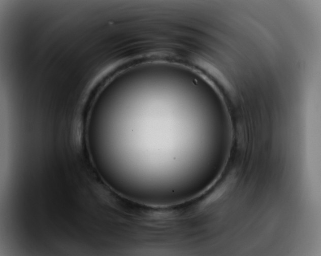 X0000092251021200709211057