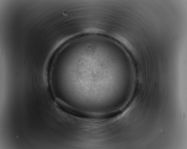 X0000092251022200709211057