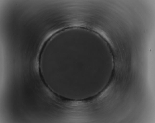 X0000092251024200709211057