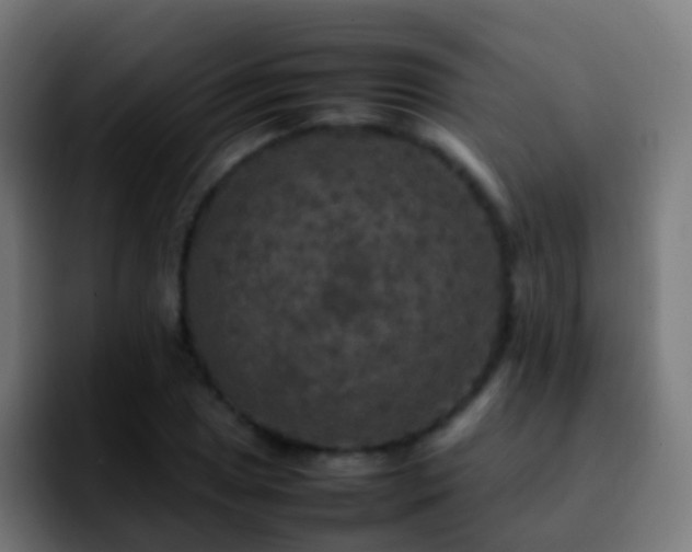 X0000092251025200709211057