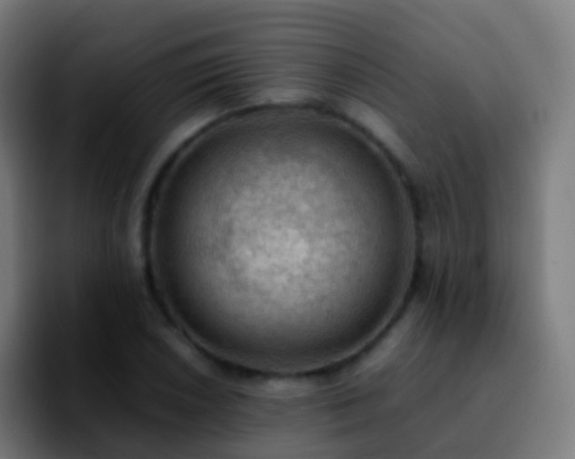 X0000092251026200709211057