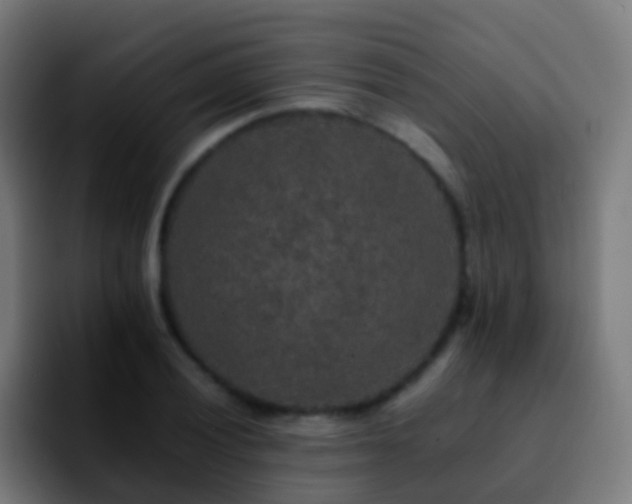 X0000092251028200709211057