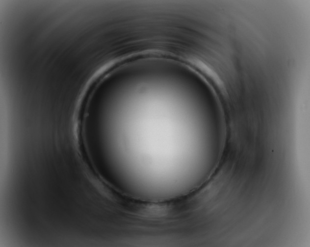 X0000092251029200709211057