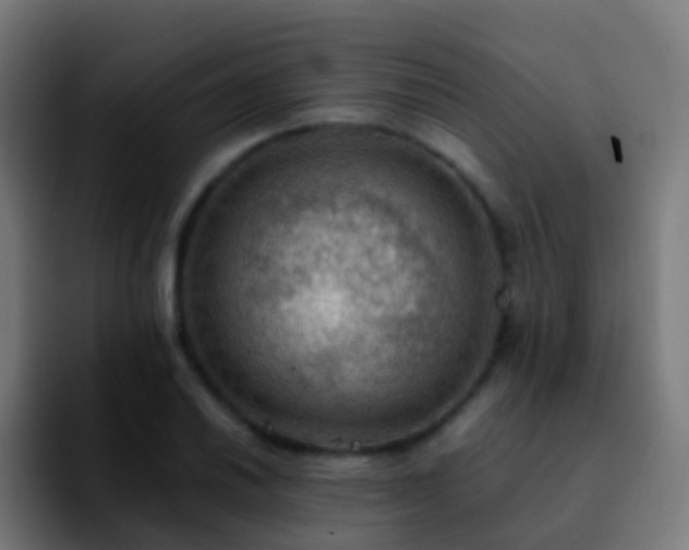 X0000092251030200709211057