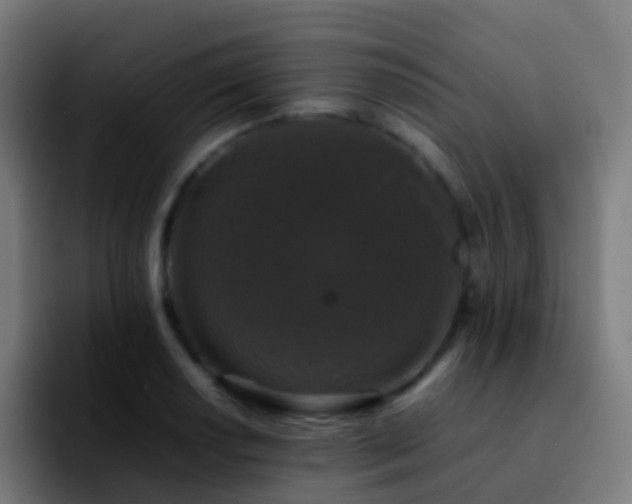X0000092251034200709211058