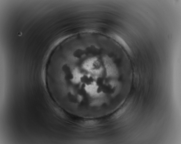 X0000092251035200709211058