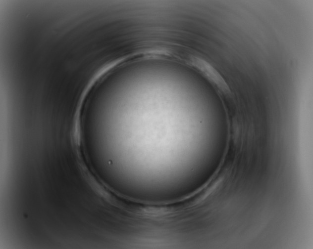 X0000092251036200709211058