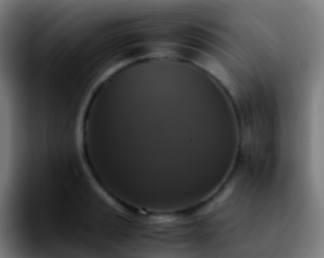 X0000092251037200709211058
