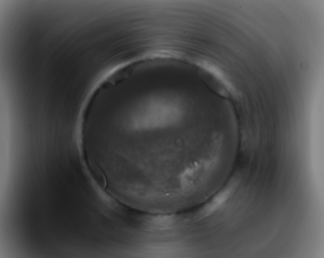X0000092251038200709211058