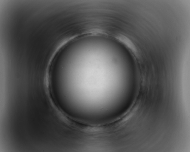 X0000092251040200709211058