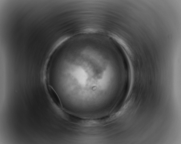 X0000092251042200709211058