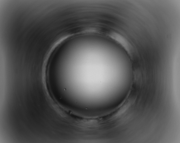 X0000092251043200709211058