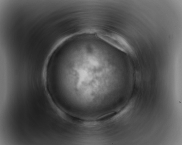 X0000092251046200709211058