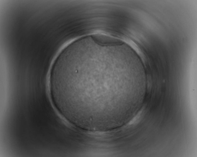 X0000092251048200709211058
