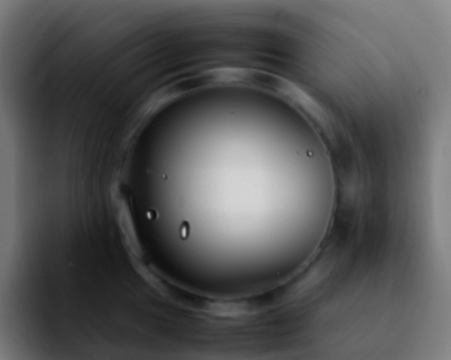 X0000092251049200709211058