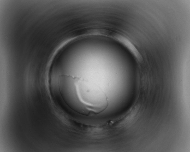 X0000092251051200709211058