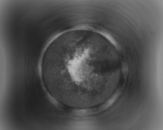 X0000092251054200709211058