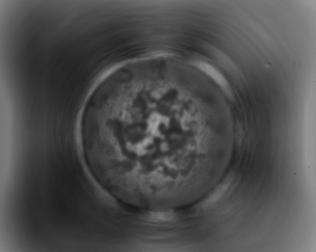 X0000092251055200709211058
