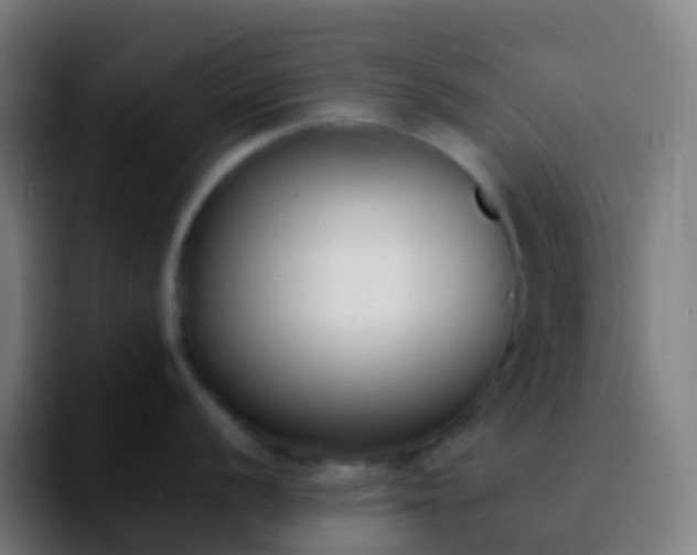 X0000092251056200709211058