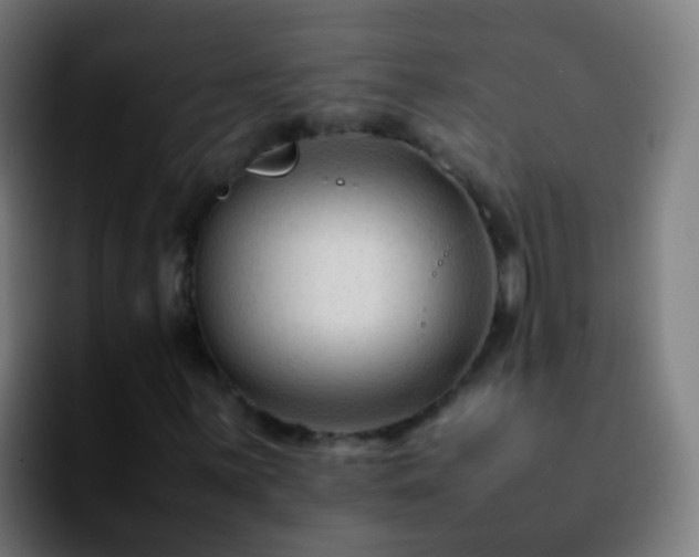X0000092251059200709211057