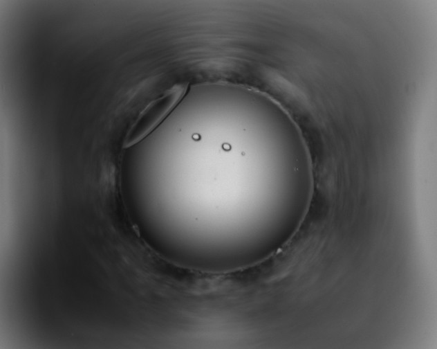 X0000092251061200709211057