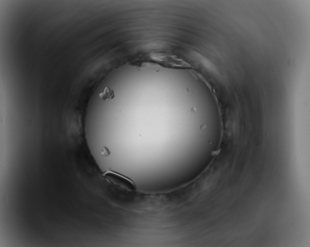 X0000092251062200709211057