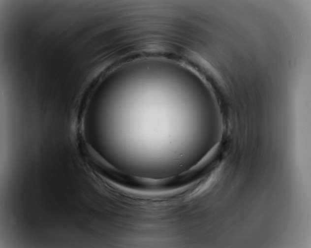 X0000092251065200709211057