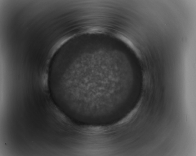 X0000092251066200709211057
