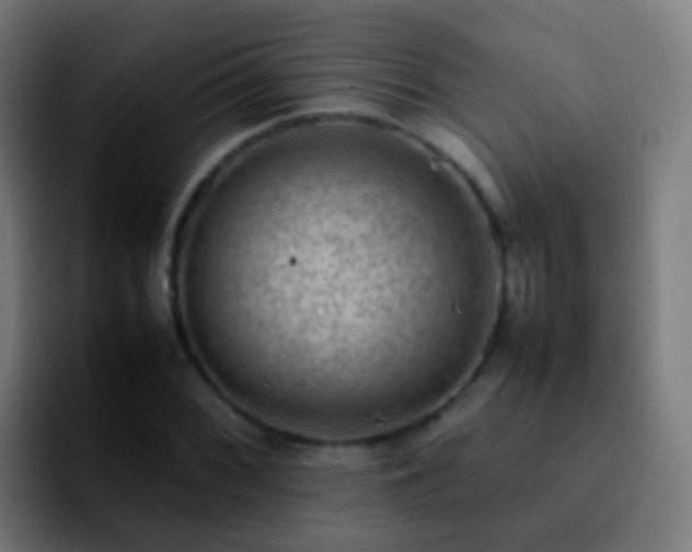 X0000092251068200709211057