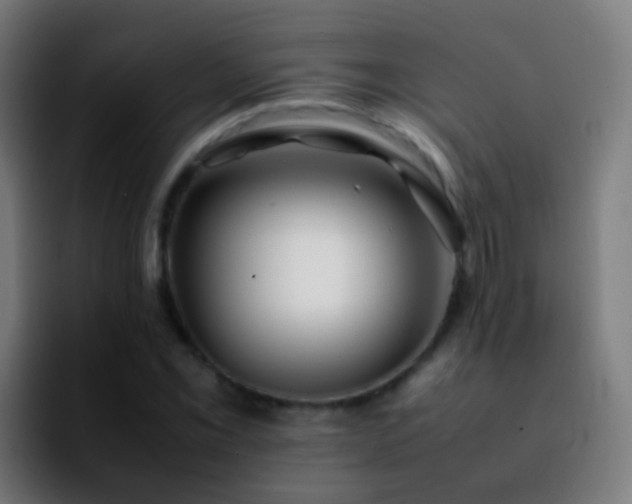 X0000092251069200709211057
