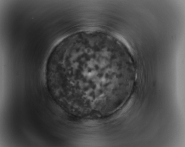 X0000092251071200709211057