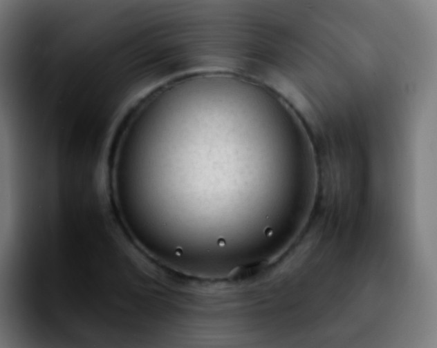 X0000092251072200709211057