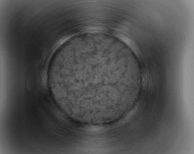 X0000092251074200709211057