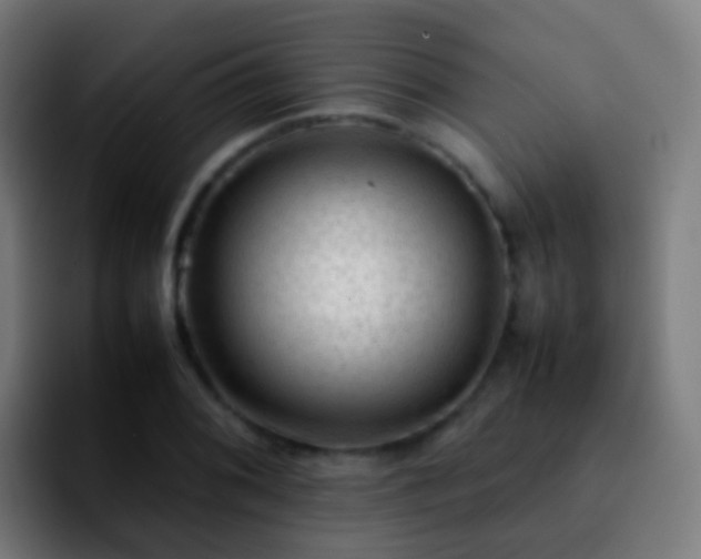 X0000092251076200709211057