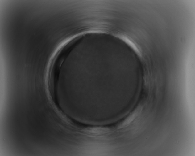 X0000092251077200709211057