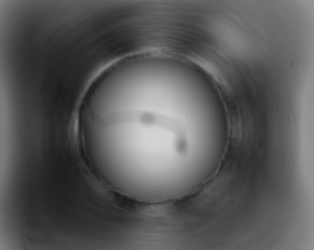 X0000092251078200709211057