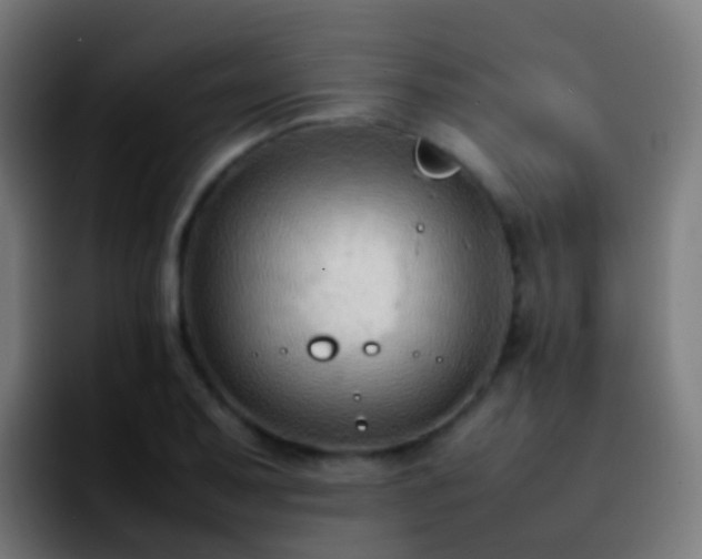 X0000092251079200709211057