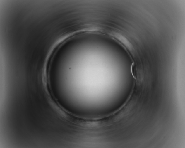 X0000092251080200709211057