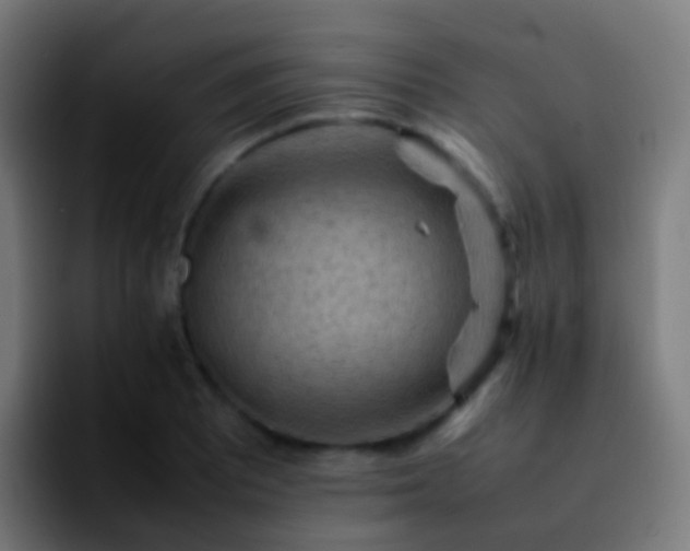 X0000092251081200709211057