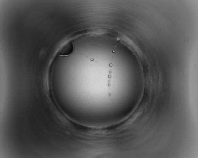 X0000092251083200709211057
